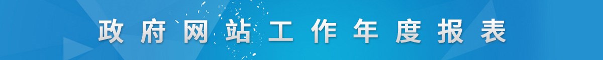 政府网站工作年度报表