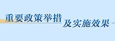 重要政策举措及实施效果